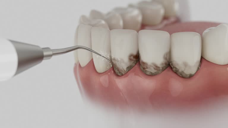 Reliable Dental contractor in Lochmoor Waterway Estates, FL by Dentist Open Now